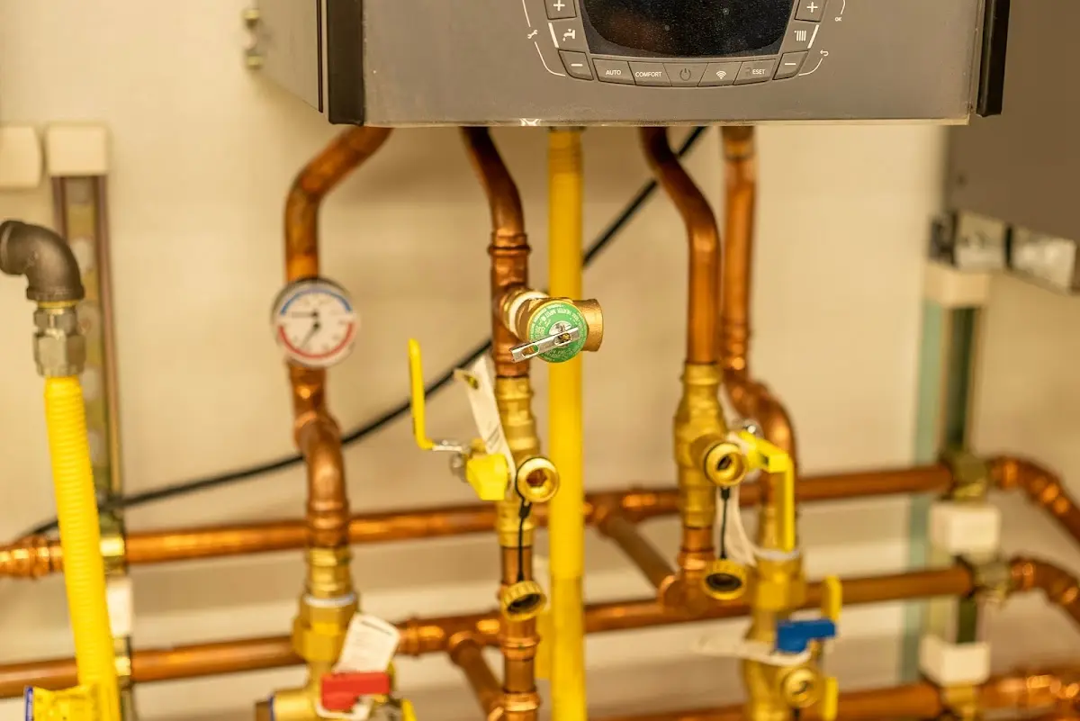 Licensed technician providing Sump Pump Repair for a homeowner in Dundee